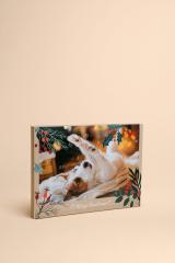Adventskalender 2024 für Hunde